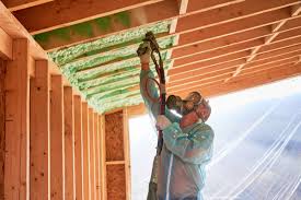 Eco-Friendly or Green Insulation Solutions in Castroville, TX