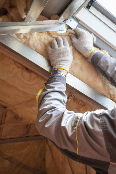 Best Eco-Friendly or Green Insulation Solutions  in Castroville, TX