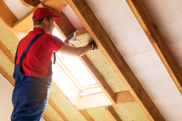 Best Commercial Insulation Services  in Castroville, TX